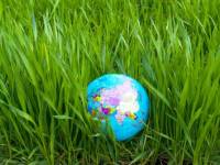 bigstockphoto_Globe_In_Grass_3049472