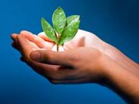 bigstockphoto_Theme_Of_Growth_2609994