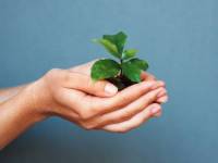 bigstock_God_s_Creation_11600000